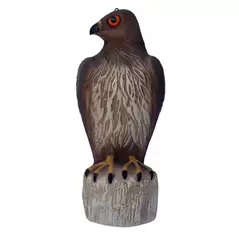 Bird B Gone Hawk