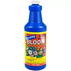 Liquinox Qt Bloom
