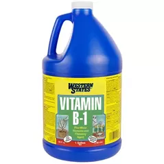 Western States 1gal B-1