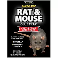 Harris 1pk Black Rat Glue Board