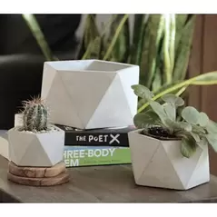 Geo 5" Pentagon Planter