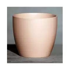Palm Spring 5.5" Pc Lily Cache MPK