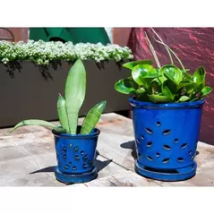 Verandah 6" F Blue Waikiki Orchid Pot