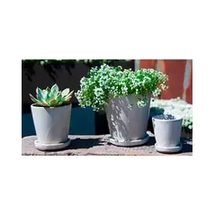 Verandah Lilac Size A Wsp