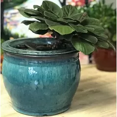 Verandah 3x2.5 Round Self Watering Jade