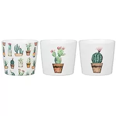 Scheurich 2.75" Cactus Gdn Asst 870/07 Planter