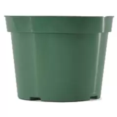 BLD 06.00 AZ GRN 300/CS 48CS/PL 692107