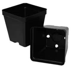 T. O. Plastics 03.50 Press Fit Pot Square Vacuum Deep 350 Black 450 Per Case 48 Cases Per Pallet 700026C Use With 705130C Tray