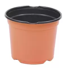 JAN 19CM L 08.00 POT BLK/TC 360/CS 16CS/PL