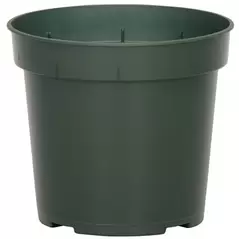 DLN 04.50 RND GER T/W 300GN 850/CS 38CS/PL