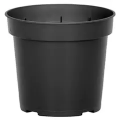 DLN 04.50 RND GER T/W BLK 850/CS 38CS/PL