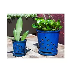 Verandah 7.5" F Blue Waikiki Orchid Pot