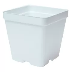 T. O. Plastics 03.25 Press Fit Pot Square Vacuum Deep 325 White 450 Per Case 48 Cases Per Pallet Minimum Order Quantity Needed 96 Cases Use With 705119C Tray Minimum Order Quantity 96 Cases