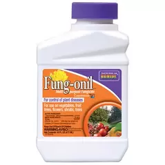 Bonide Pt Liquid Fungonil w/ Daconil Fungicide