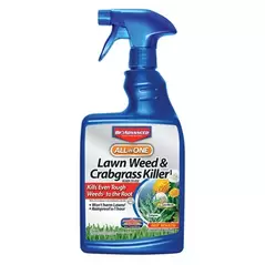 BioAdvanced 24oz All-In-One Lawn Weed & Crabgrass Killer RTU (Keywords: Bayer )