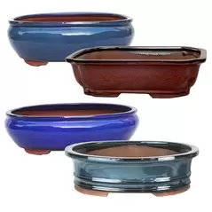 MCarr 4PC 12" Bonsai Planter Set Mixed Colors