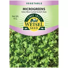 Microgreens, Vates Blue Curled Scotch Kale - 4 Gram