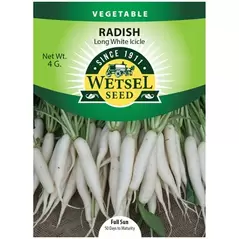Radish, Long White Icicle - 4 grams