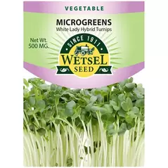 Microgreens, White Lady Turnip - 500 Mg