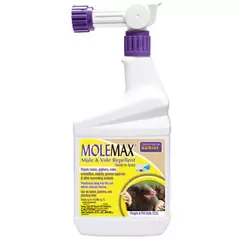 Bonide Qt RTS Mole Max