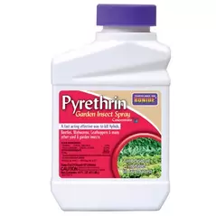 Bonide Pt Pyrethrin Garden Insect Spray
