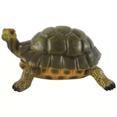 MCarr Turtle Medium