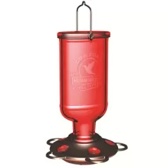 Classic 13oz Elixir Glass Hummingbird Feeder 5 Ports