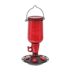Classic 23oz Jug Glass Hummingbird Feeder 5 Ports