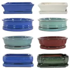 MCarr 18PC 6" Bonsai Pot Mixed Asst
