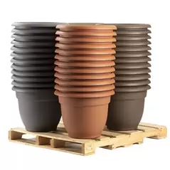 Bloem 48pc 16" Ariana Core Color Display