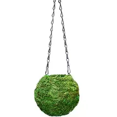 SuperMoss 4" Kokedama Green Moss Ball Planter