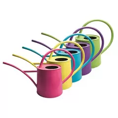 WSP Watering Can 1/2gal Assorted Case Pack - 2ea of 5 Colors