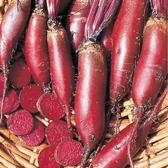 BEETS, CYLINDRA 1/2 LB EACH