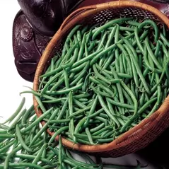 Beans, Bronco Bush 80M Each