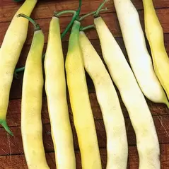 Beans, Topnotch Golden Wax - 25lb
