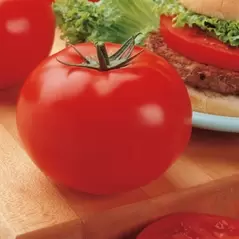 Tomato, Big Beef Untreated - 5000 Sd Ct