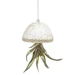 APM Air Plant Jellyfish White/Gold