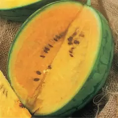 Watermelon, Yellow Doll Hybrid - 1,000 Seed Count