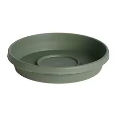 Bloem 8" Terra Saucer Living Green