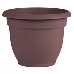 Bloem 12" Ariana w/ Grid Planter Merlot