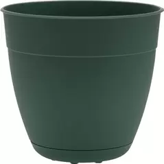 Bloem 6" Dayton Planter Turtle Green