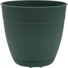 Bloem 16" Dayton Planter Turtle Green