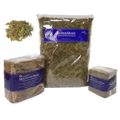 SuperMoss 16oz Forest Moss Dried Natural Green