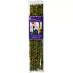 SuperMoss 18" Natural Moss Stakes 6pk