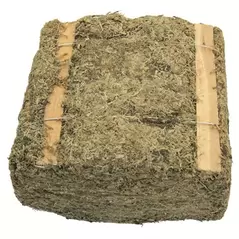 SuperMoss 3.5