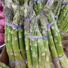 Asparagus, Mary Washington - 1/2oz