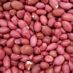 Beans, Red Peanut Bush - 1/2lb