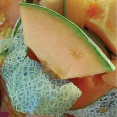 Cantaloupe , Rocky Ford Green Flesh - 1/2lb