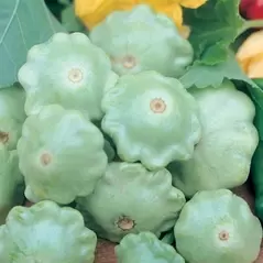 SQUASH, BEN GREEN TINT 1/2 OZ EACH