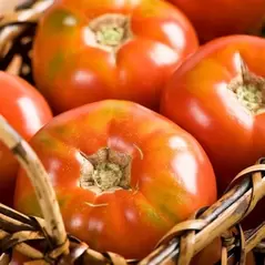 Tomato, Big Boy Untreated - 1,000 Sd Ct